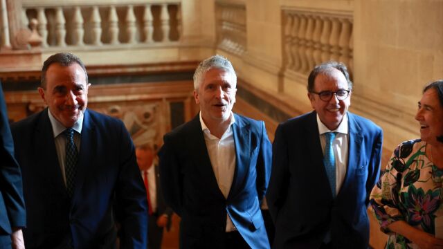 El ministro del Interior, Fernando Grande-Marlaska, este lunes en Sevilla