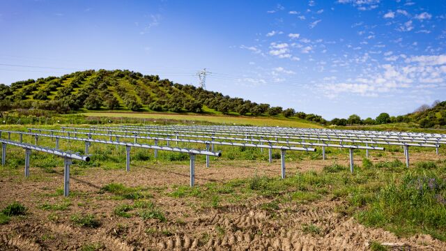 En el diseño del primer parque fotovoltaico de ChintSolar en España se ha tenido en cuenta su integración ambiental en la comarca sevillana del Aljarafe