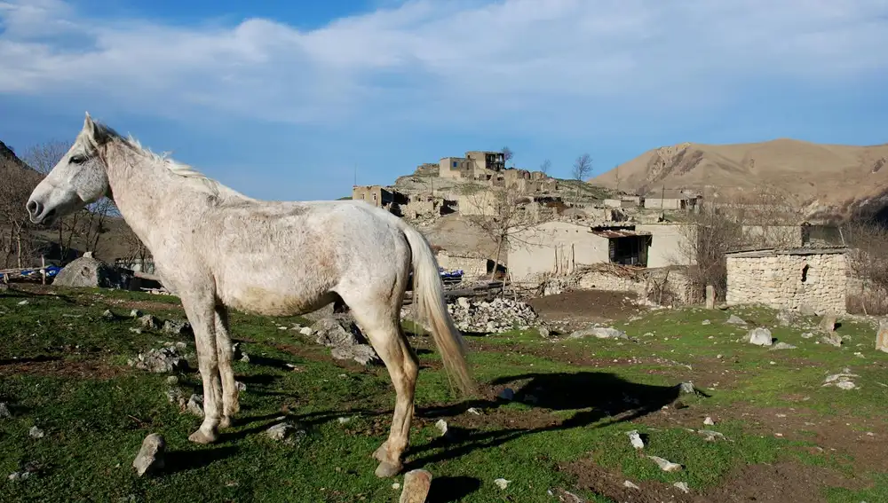 Caballo de Karabaj, Azerbaiyán