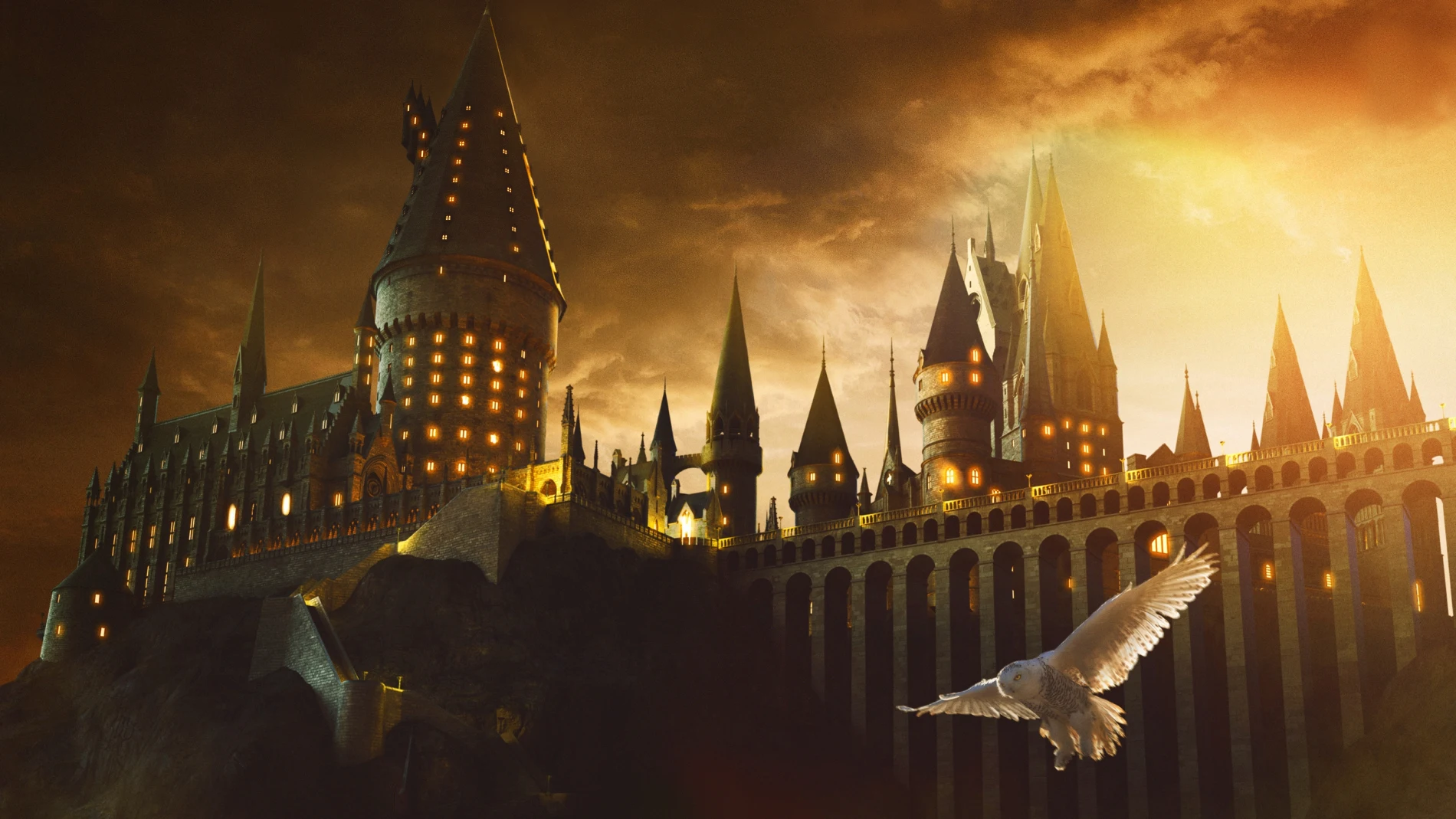 Hogwarts fue fundada por Godric Gryffindor, Helga Hufflepuff, Rowena Ravenclaw y Salazar Slytherin
