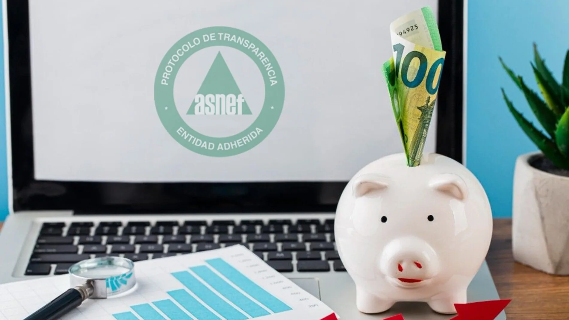 Cómo pedir un préstamo si estás en ASNEF