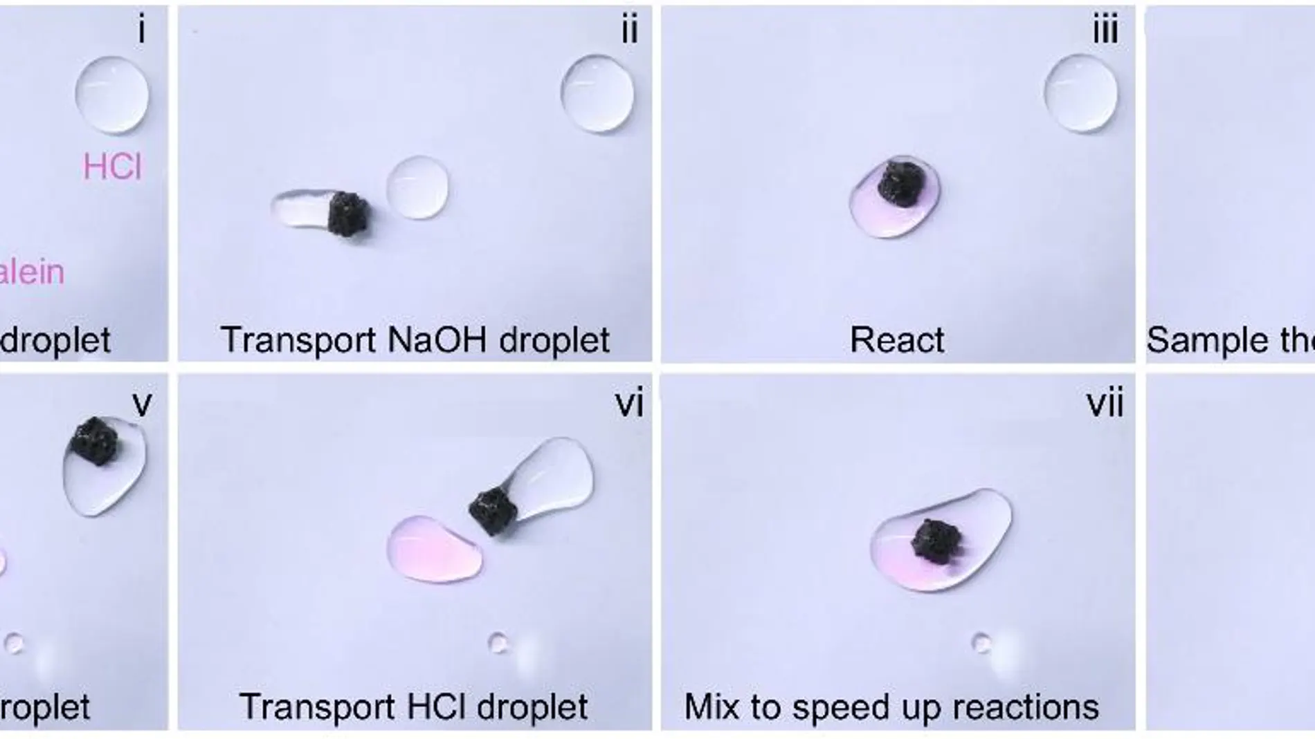 Un microrrobot magnético junta gotas de fluido, desencadenando una reacción química.