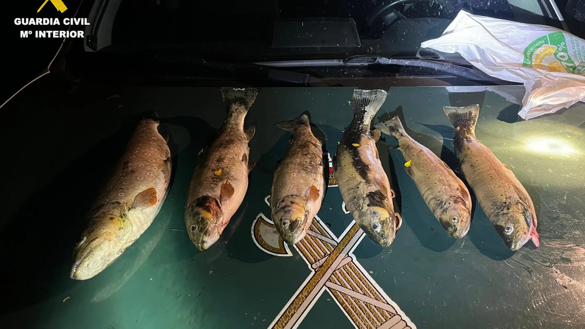 La Guardia Civil de Ávila investiga a dos personas por pesca furtiva en la Laguna de Galín Gómez