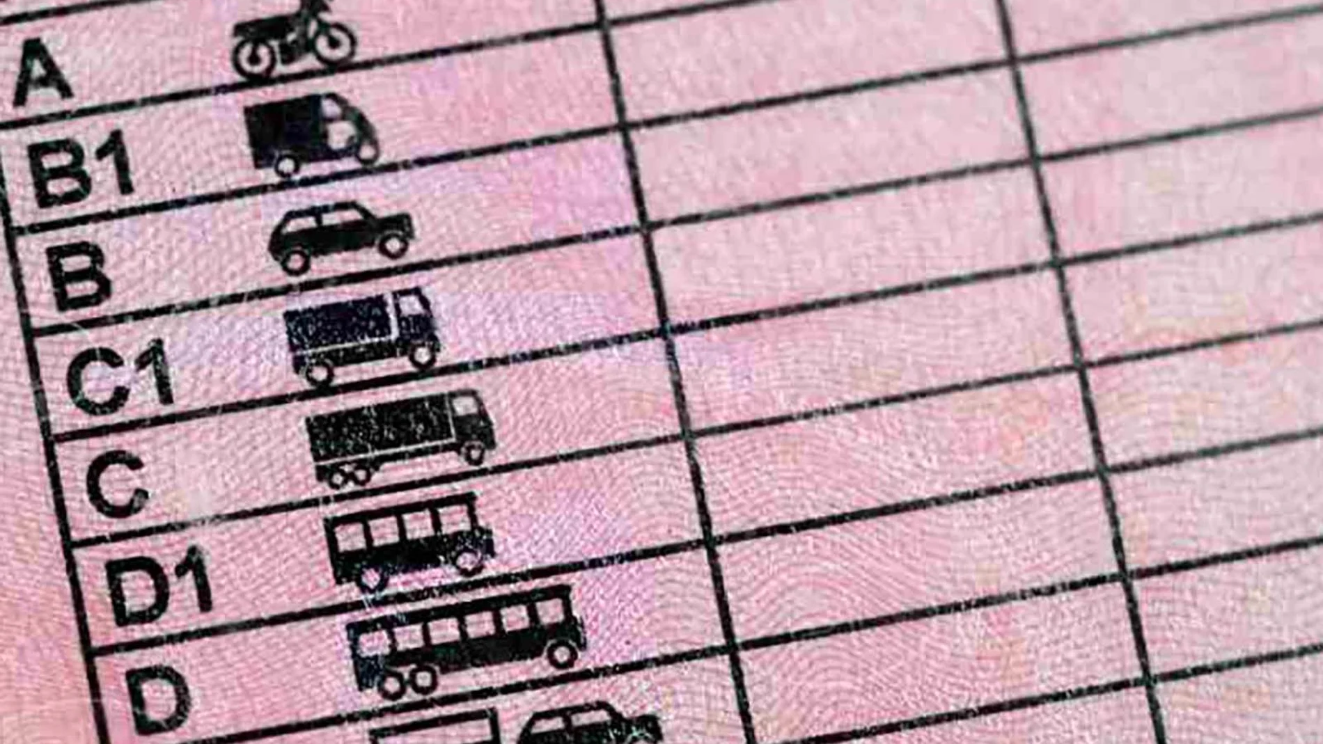 El Gobierno pagará 2.000 euros a aquellas personas que obtengan el carnet de conducir con estos requisitos