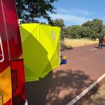 Herido grave un ciclista de 75 años en la Casa de Campo por una caída después de que se le cruzara un perro