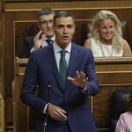 Sesión de control al Gobierno en el Congreso de los Diputados, interviene Pedro Sánchez