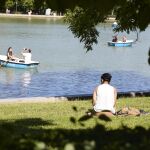 MADRID.-La Mesa del Árbol dará hoy luz verde a los planes directores del parque del Retiro, Juan Pablo II y Fuente del Berro