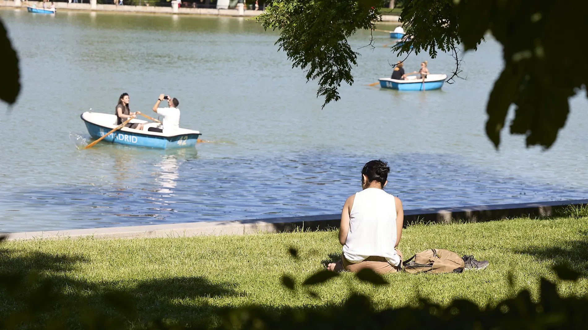 MADRID.-La Mesa del Árbol dará hoy luz verde a los planes directores del parque del Retiro, Juan Pablo II y Fuente del Berro