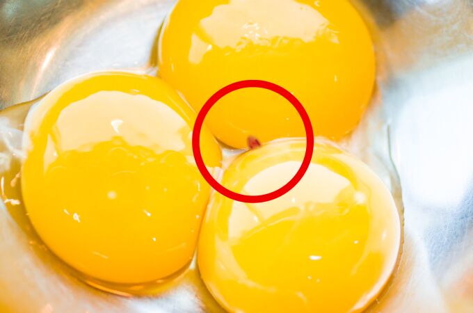 Qué significa una mancha roja en la clara del huevo: descubre qué es y si supone un riesgo para la salud