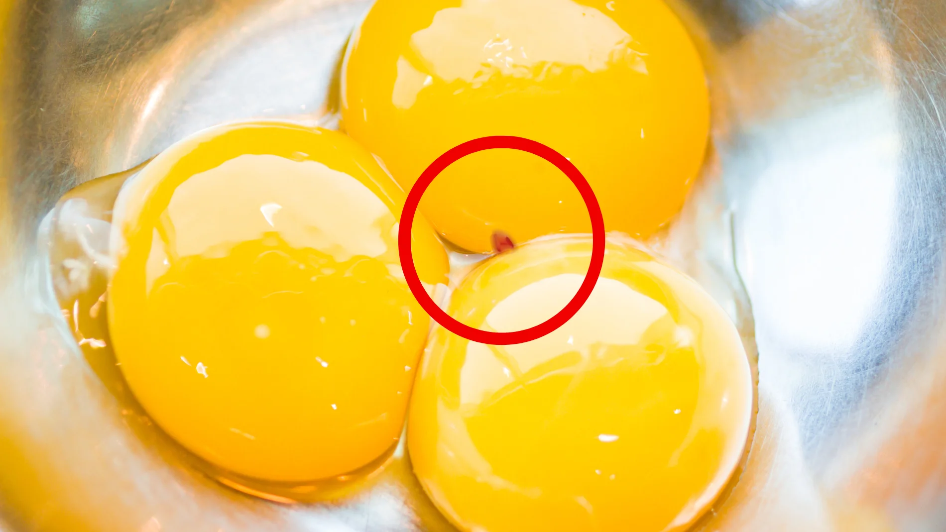 Qué significa una mancha roja en la clara del huevo: descubre qué es y si supone un riesgo para la salud