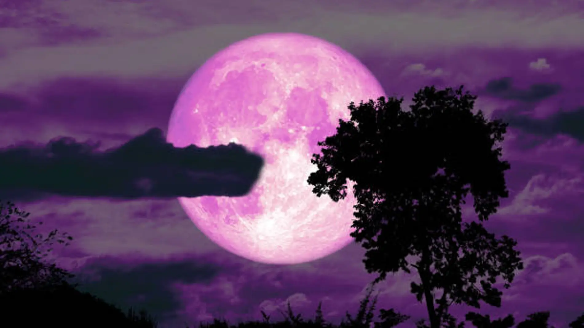 Imagen de archivo de una Luna de Fresa