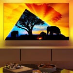 Philips Ambilight 48OLED769
