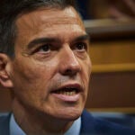 Sesión de control al Gobierno en el Congreso de los Diputados. Comparecen el presidente del Gobierno, Pedro Sá