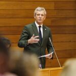 Alfonso Rueda, hoy, en el pleno. 