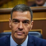 Sesión de control al Gobierno en el Congreso de los Diputados. Comparecen el presidente del Gobierno, Pedro Sá