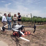  La consejera de Agricultura, Ganadería y Desarrollo Rural, María González Corral, visita Demoviña 2025