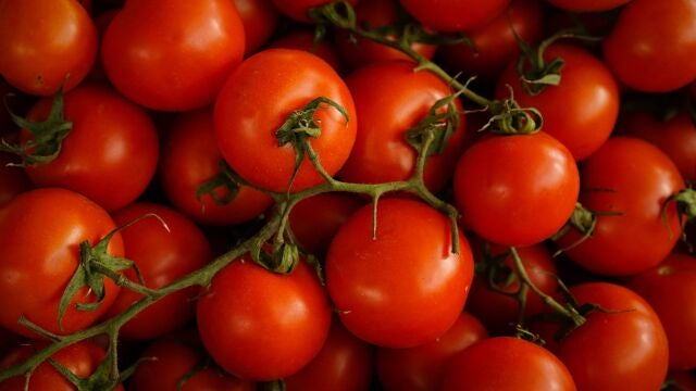 La hierba que los expertos en huerto siempre plantan al lado de los tomates (y que mejora la cosecha)