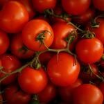 La hierba que los expertos en huerto siempre plantan al lado de los tomates (y que mejora la cosecha)