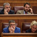 Santos Cerdán en el Congreso de los Diputados . David Jar