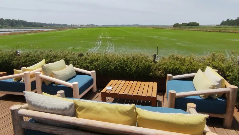 Tomar tranquilamente una copa en la terraza del restaurante, con estos campos de arroz como fondo, es todo un privilegio