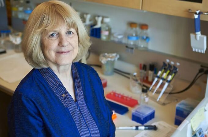 Mary-Claire King gana el premio Princesa de Asturias por encontrar la primera mutación asociada a cáncer de mama