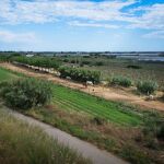 Parc Agrari del Baix Llobregat