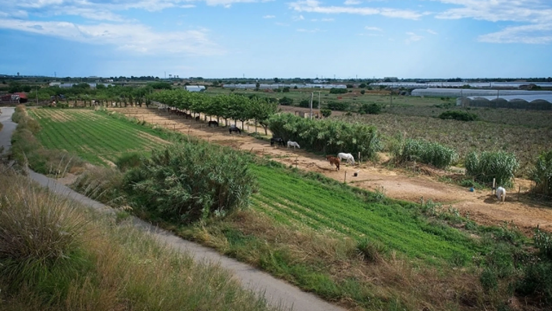 Parc Agrari del Baix Llobregat