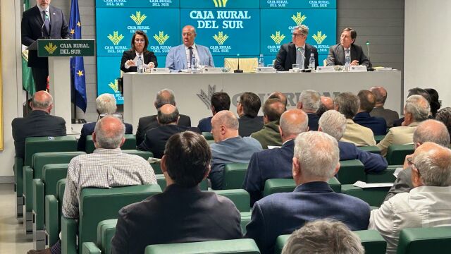 La revisión periódica de Moody’s se hizo oficial por parte de Caja Rural del Sur