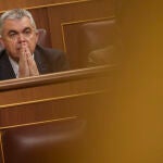 Santos Cerdán en el Congreso de los Diputados . David Jar
