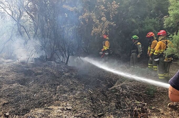 MURCIA.-Sucesos.- Arden más de 1.600 m2 de vegetación en un incendio en el cauce del río Mula, a su paso por Albudeite