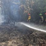 MURCIA.-Sucesos.- Arden más de 1.600 m2 de vegetación en un incendio en el cauce del río Mula, a su paso por Albudeite