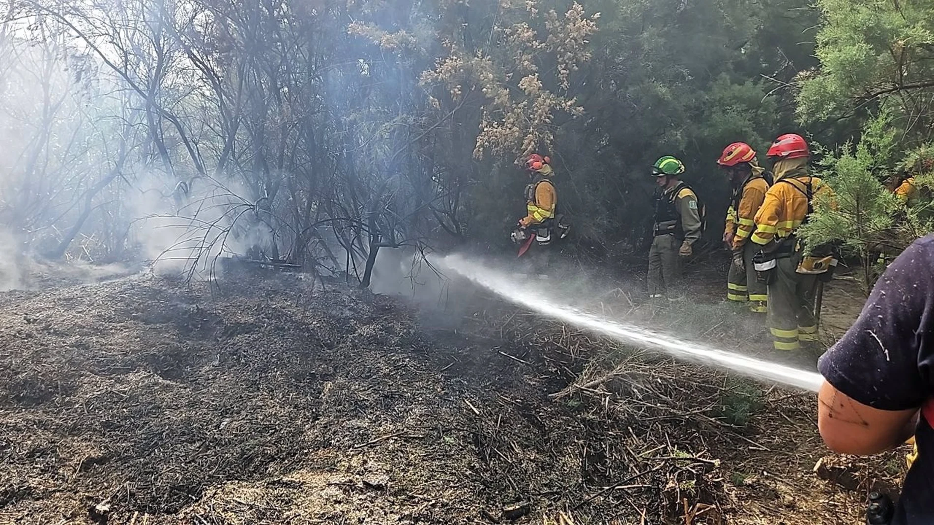 MURCIA.-Sucesos.- Arden más de 1.600 m2 de vegetación en un incendio en el cauce del río Mula, a su paso por Albudeite