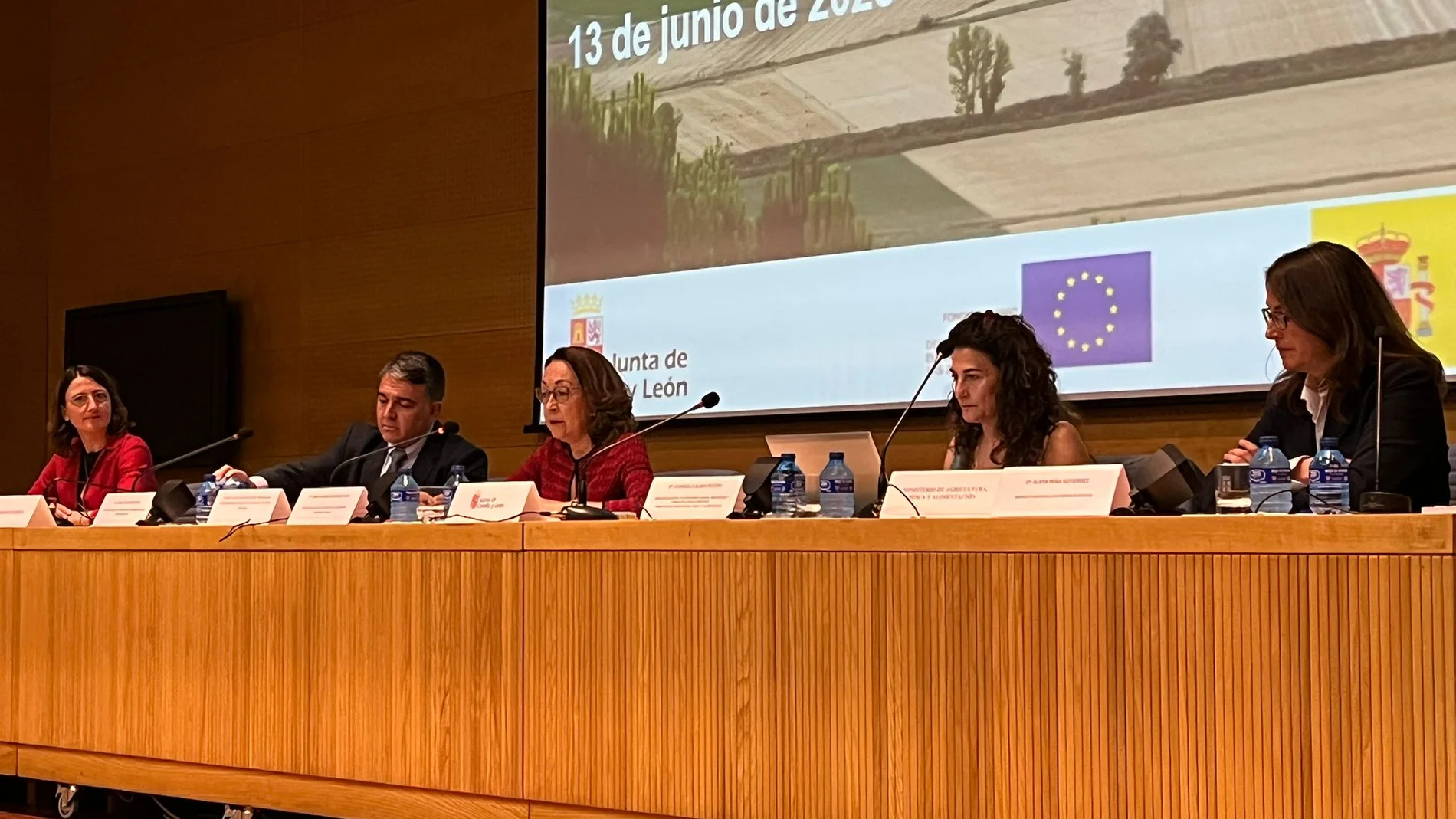 La secretaria general de la Consejería de Agricultura, Ganadería y Desarrollo Rural, Ana Álvarez-Quiñones, ha presentado hoy estos datos ante el Comité de Seguimiento del PDR de Castilla y León 2014-2020