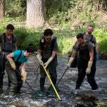 La Patrulla de Fauna de la Consejería de Medio Ambiente, durante el rescate