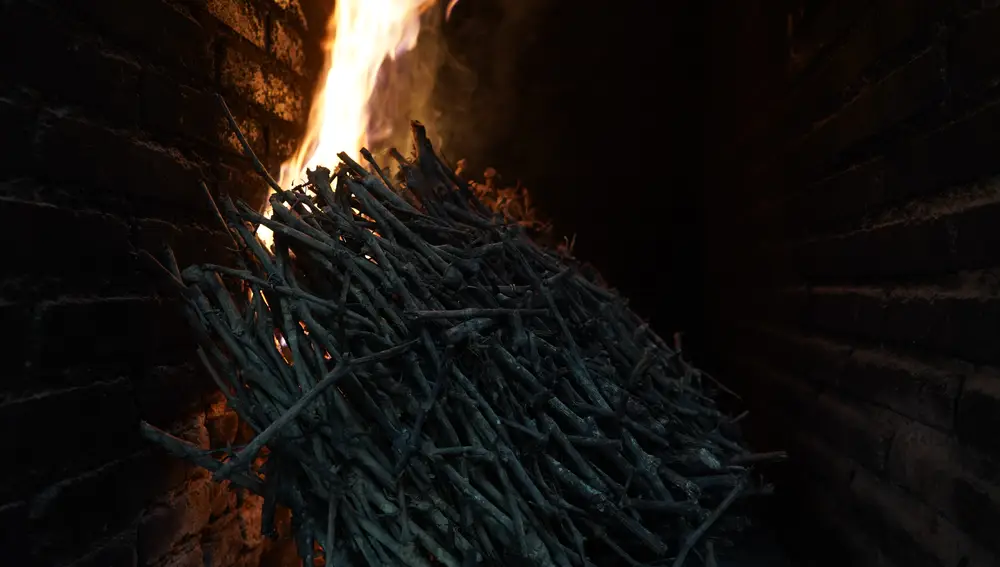 Palos de sarmiento quemándose