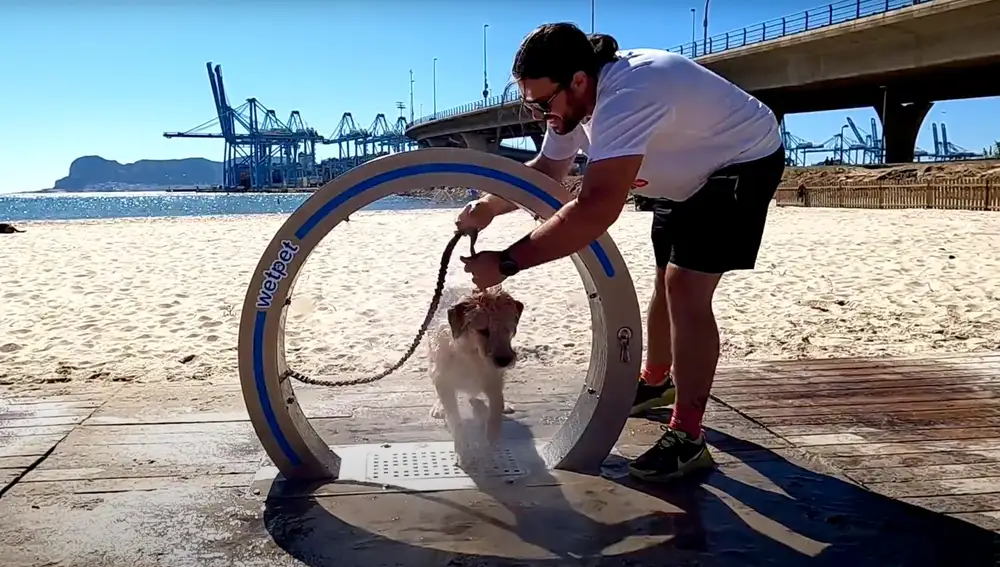 Algunas playas, como la de La Concha, cuentan con duchas para mascotas