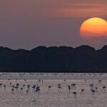Humedales de Doñana