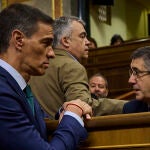Sesión de control al Gobierno en el Congreso de los Diputados. El Presidente del Gobierno, Pedro Sánchez y Santos Cerdán. 