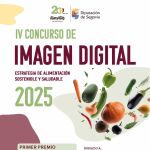 Cartel del concurso que ha lanzado la Diputación de Segovia
