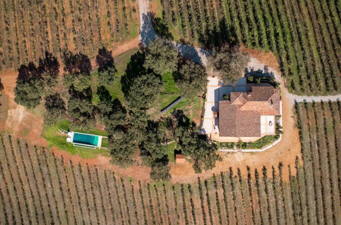 Finca Valdelaseras: la nueva joya del oleoturismo en España desde la frontera extremeña
