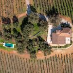Finca Valdelaseras: la nueva joya del oleoturismo en España desde la frontera extremeña