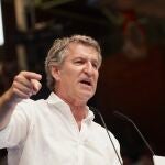 El líder del PP, Alberto Núñez Feijóo 