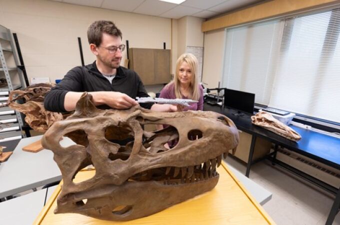 Darla Zelenitsky y Jared Voris, mostrando el cráneo reconstruido del “Príncipe Dragón” 