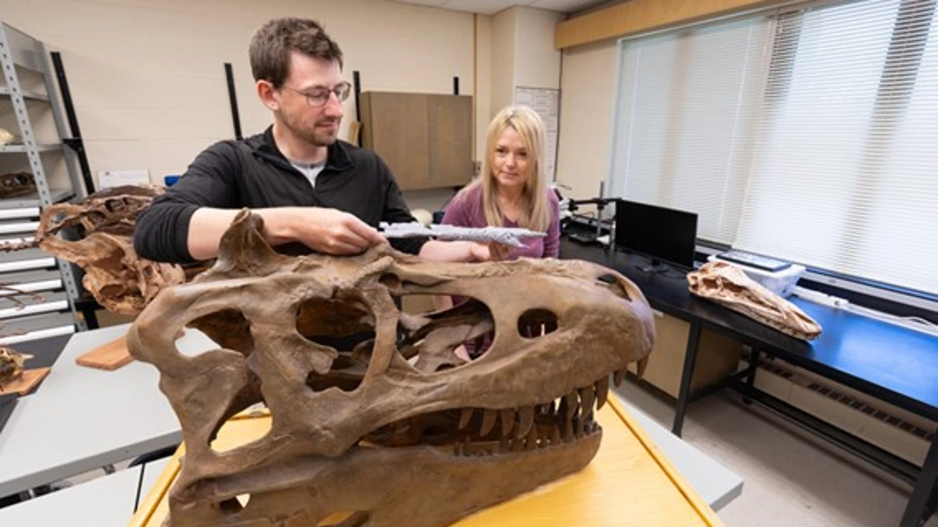 Darla Zelenitsky y Jared Voris, mostrando el cráneo reconstruido del “Príncipe Dragón”