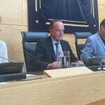 Mario Amilivia durante su comparecencia en las Cortes