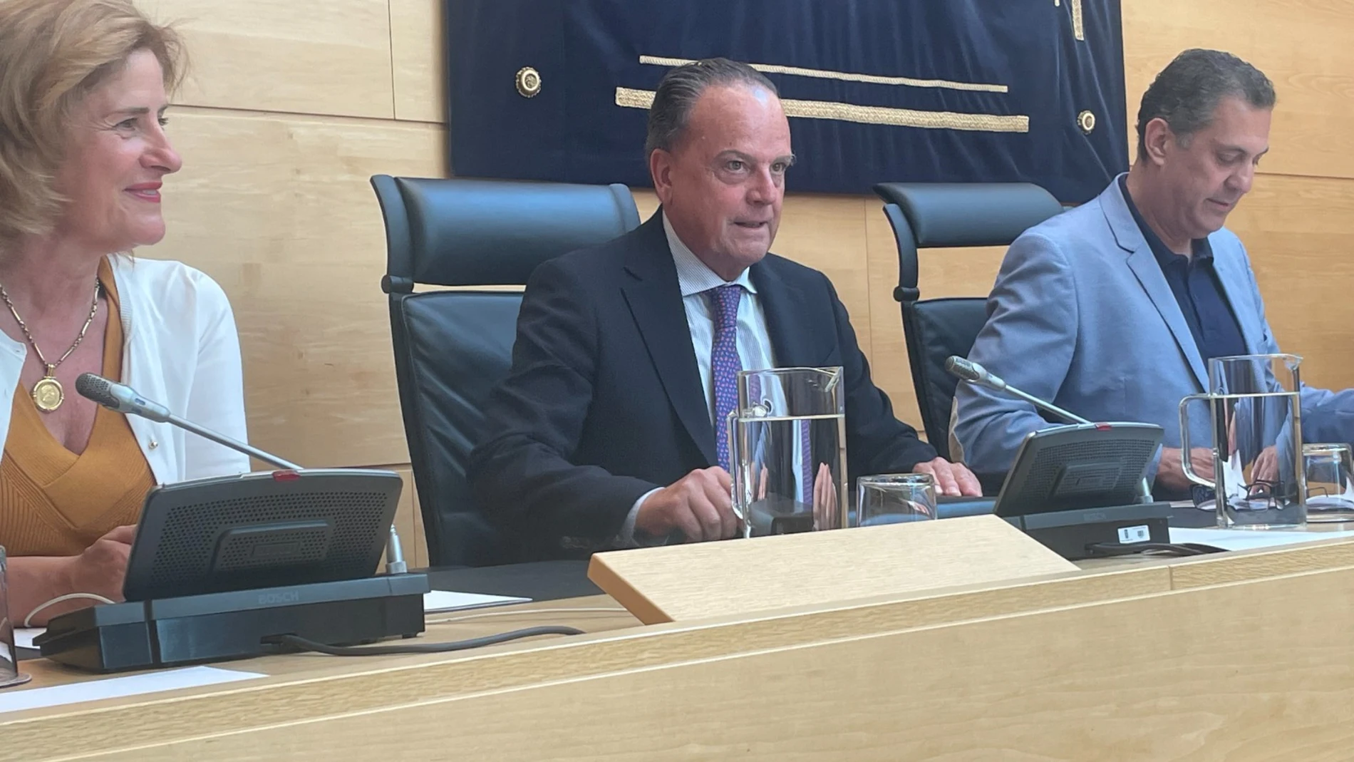 Mario Amilivia durante su comparecencia en las Cortes