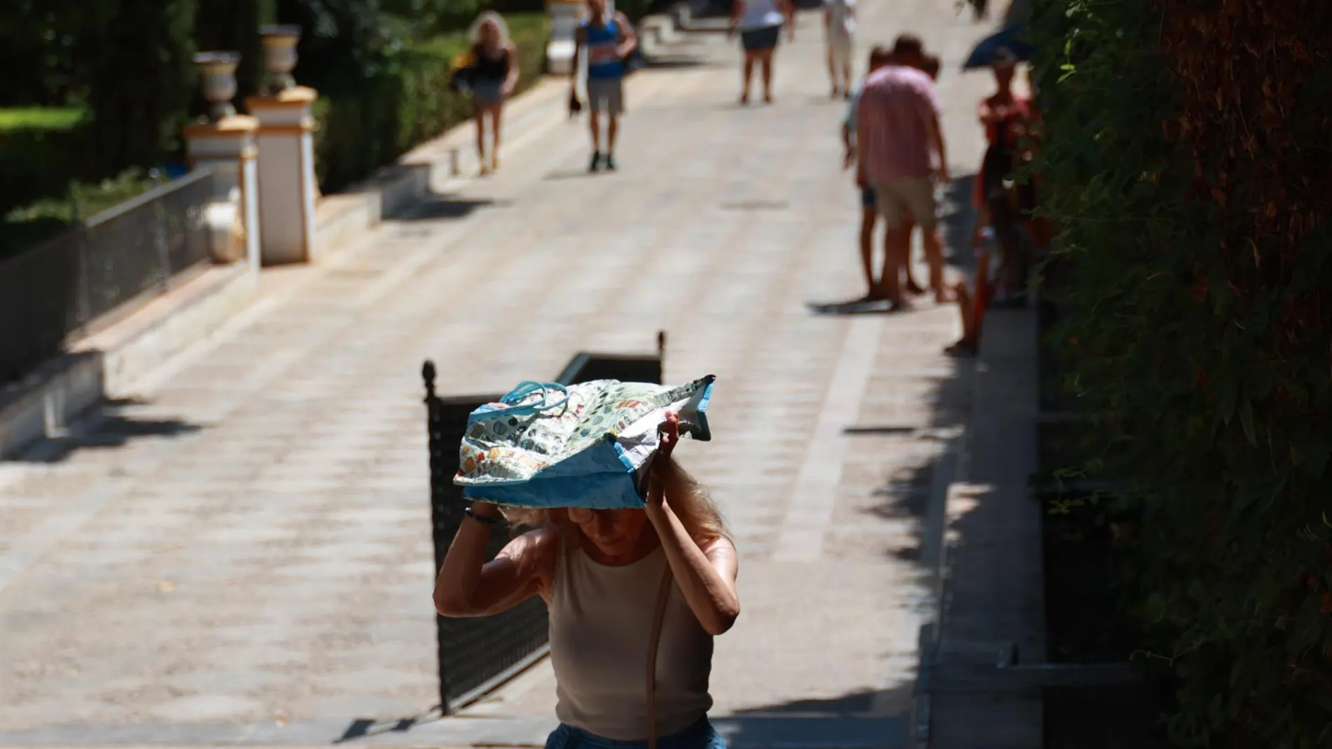 MURCIA.-La semana estará marcada por el calor, con máximas 10ºC por encima de lo normal y tormentas en el interior peninsular
