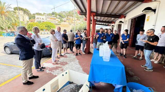 En primer término, la tortuga que, junto a erizos y caballitos de mar, se han soltado en el mar en Jávea (Alicante)
