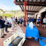 En primer término, la tortuga que, junto a erizos y caballitos de mar, se han soltado en el mar en Jávea (Alicante)