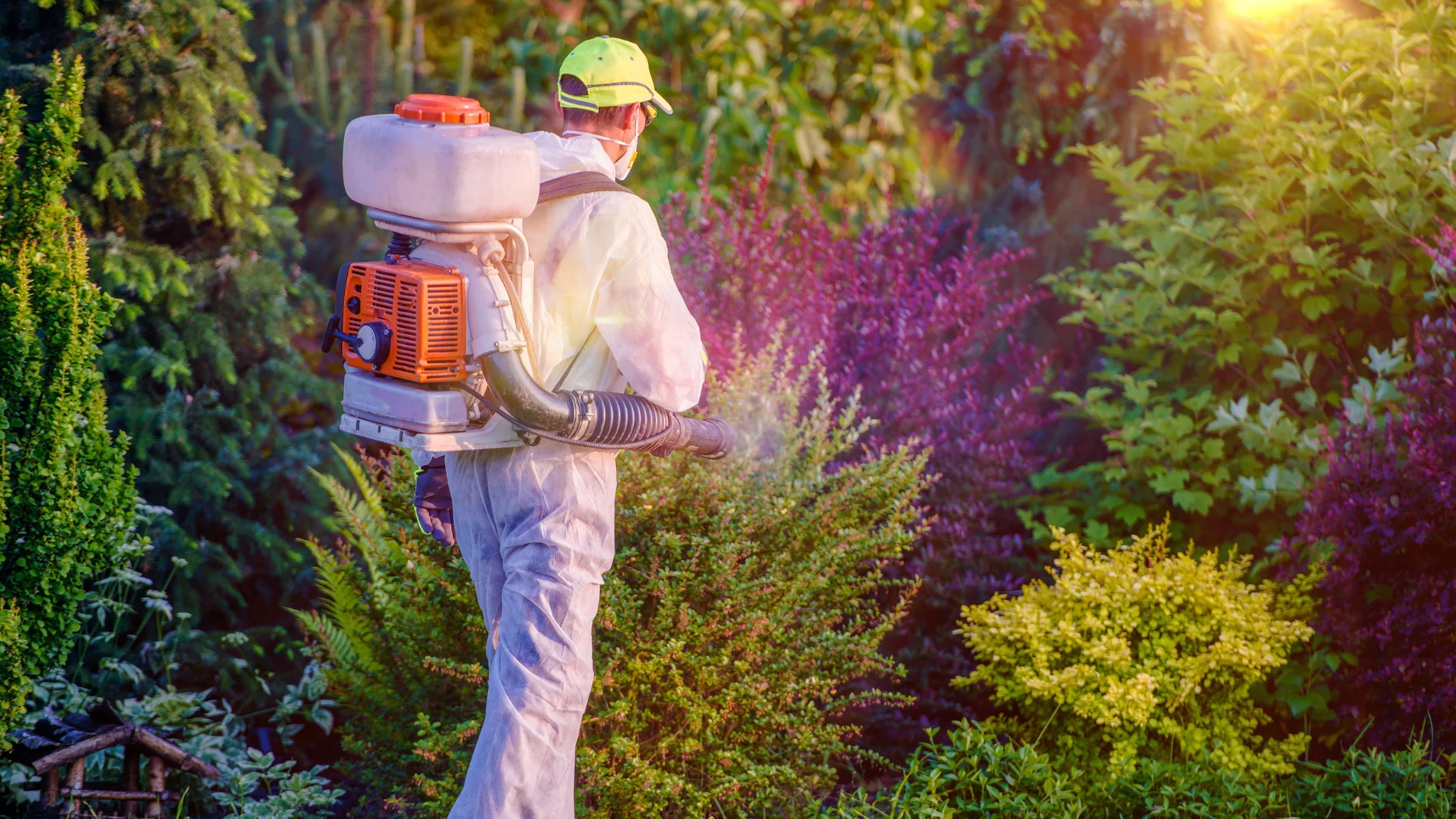 Este ingrediente que tienes en casa elimina las plagas del jardín en minutos